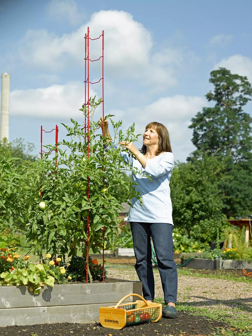 Stacking Tomato Ladders, Set of 6
